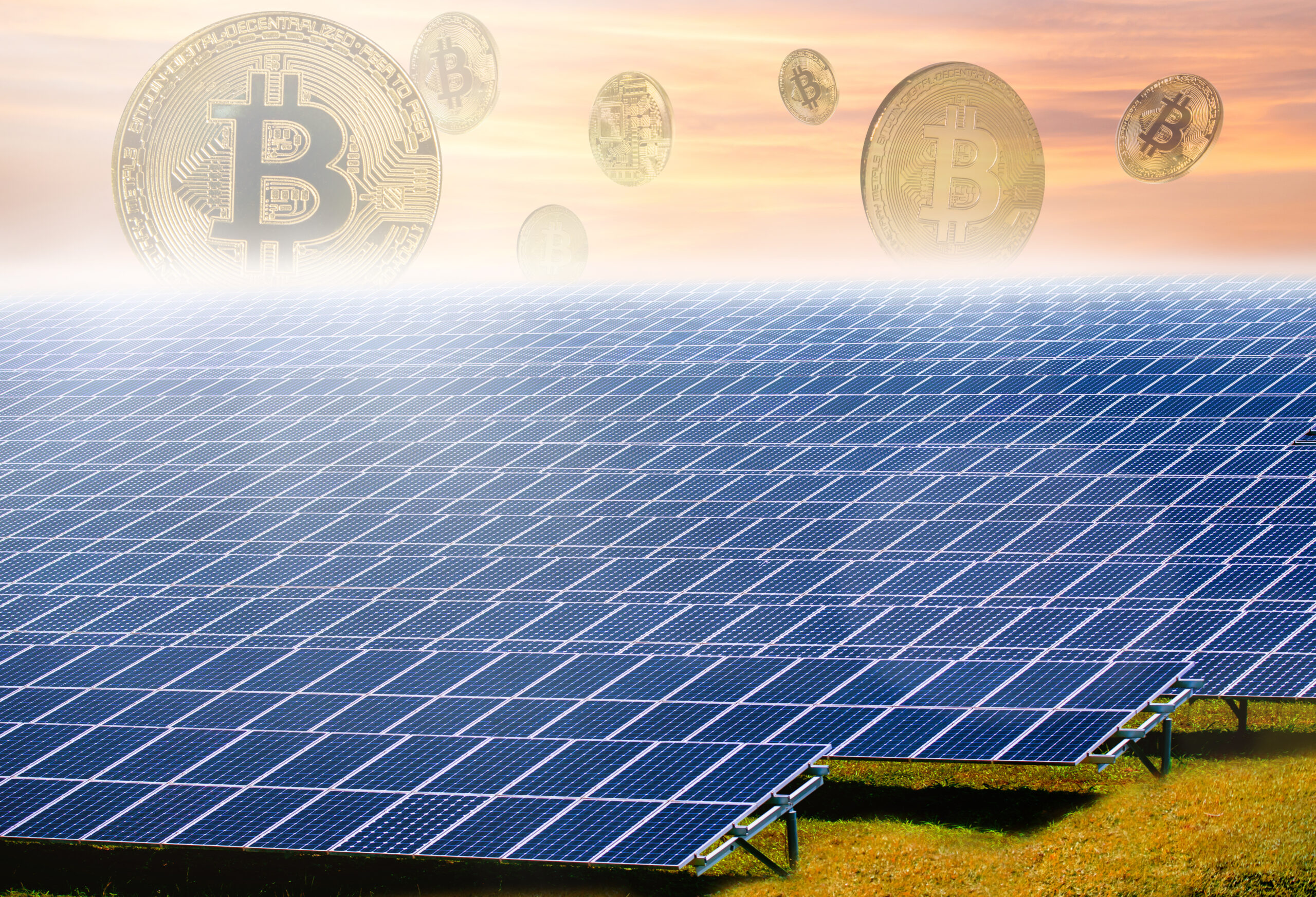 CRYPTO MINERS -NEM