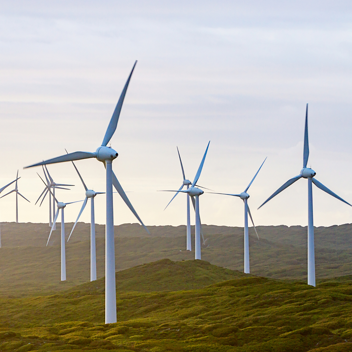 Albany wind farm at sunset, Western Australia