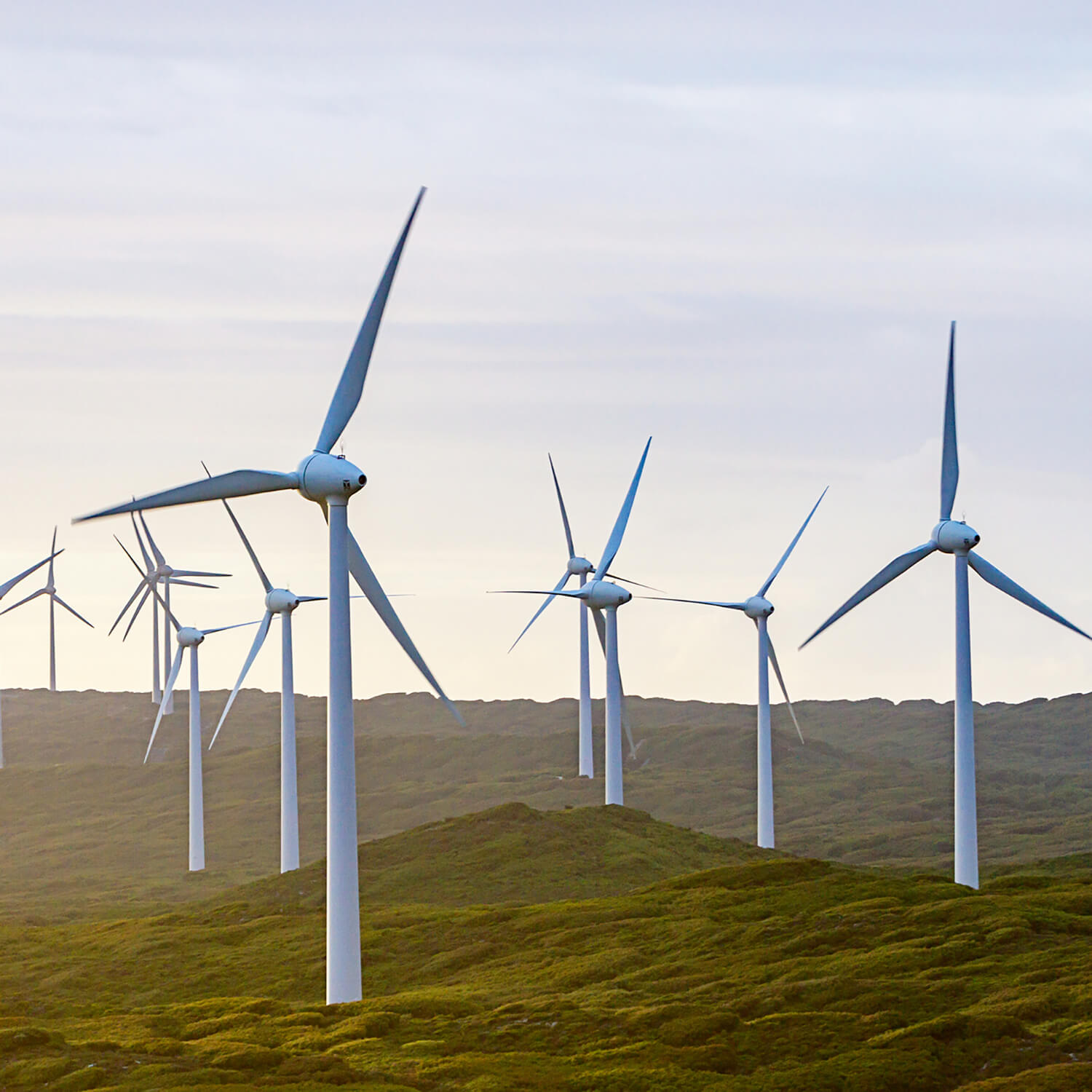 NEW-ENERGY