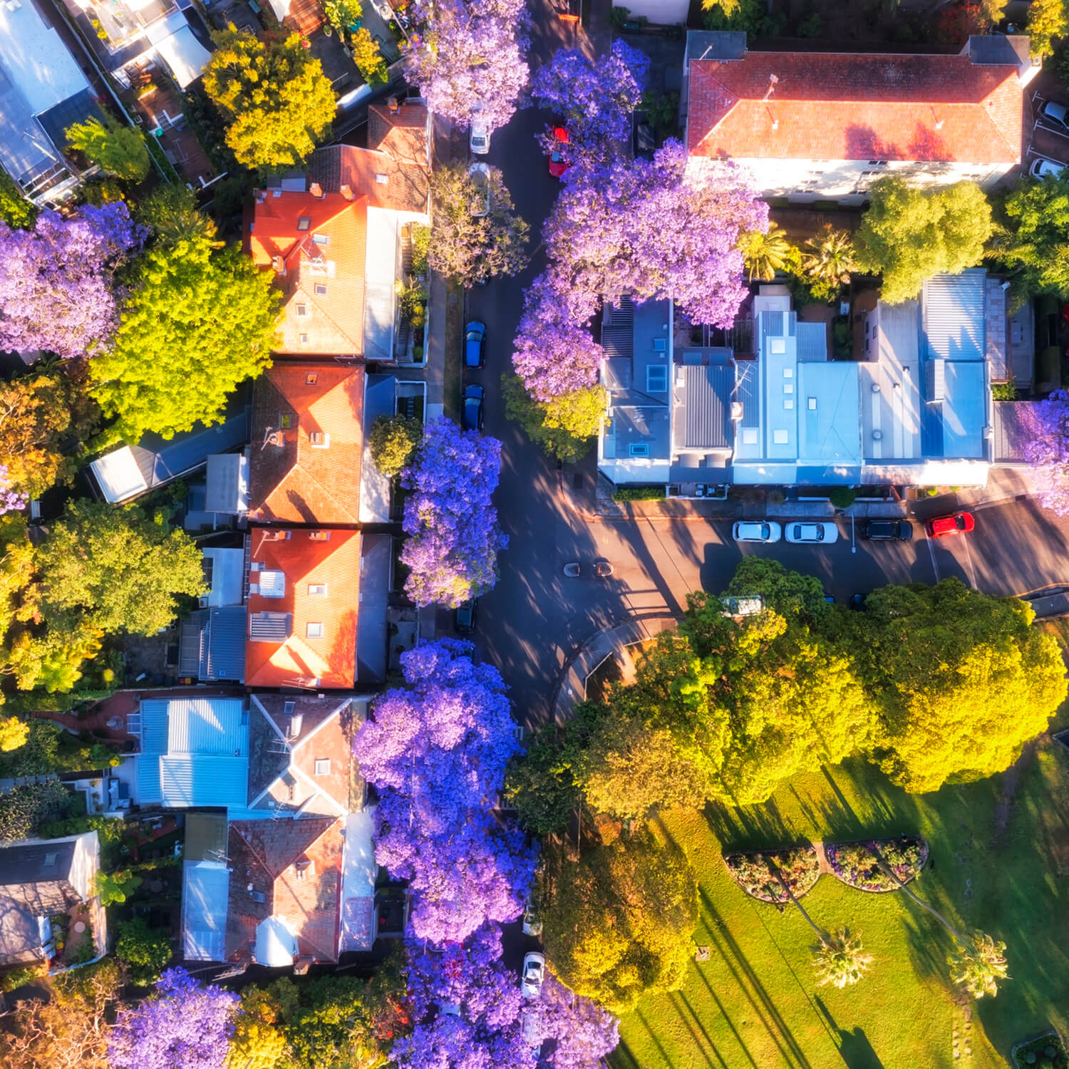 REAL-ESTATE