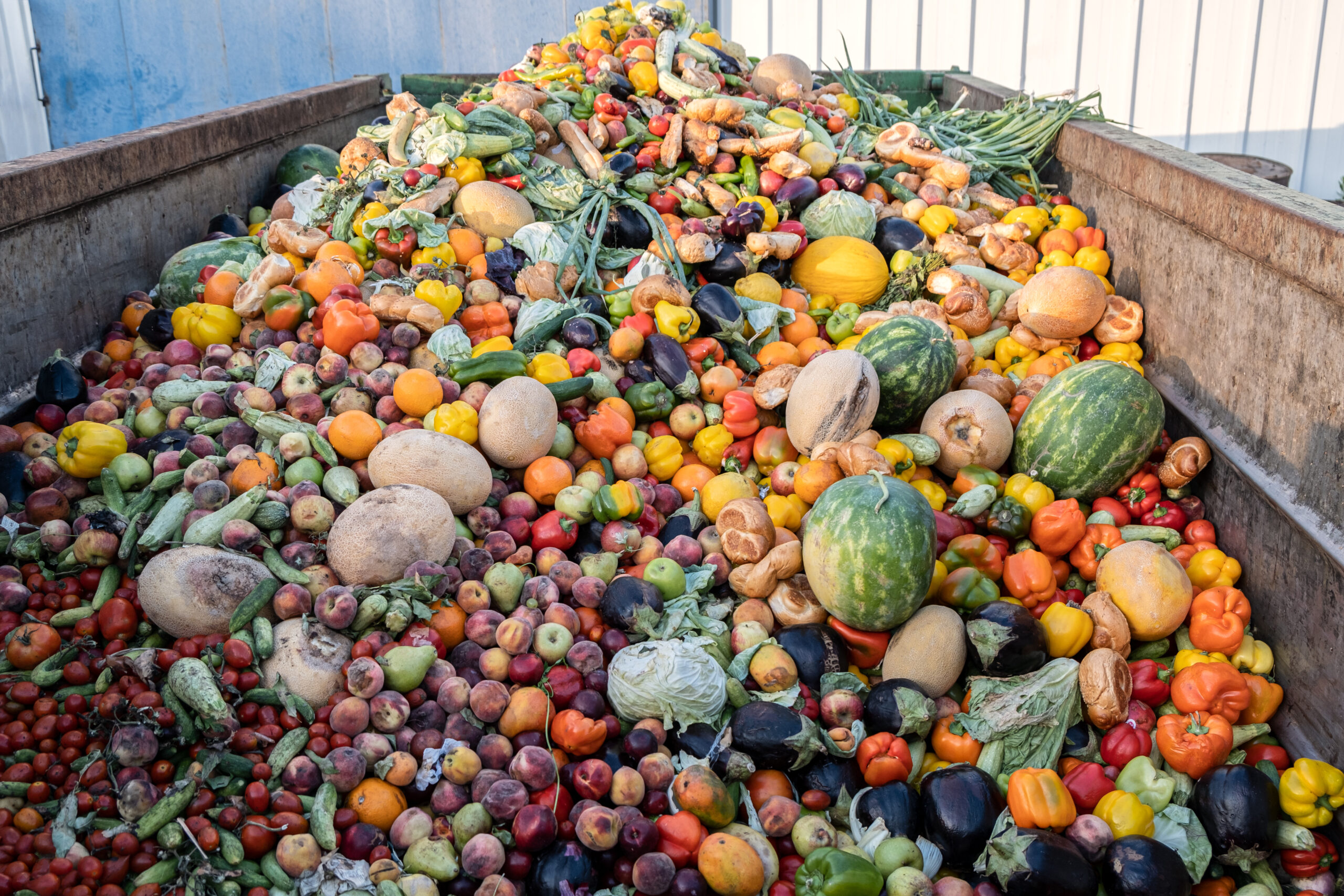 Closing the loop on organic waste and fueling the future with biogas