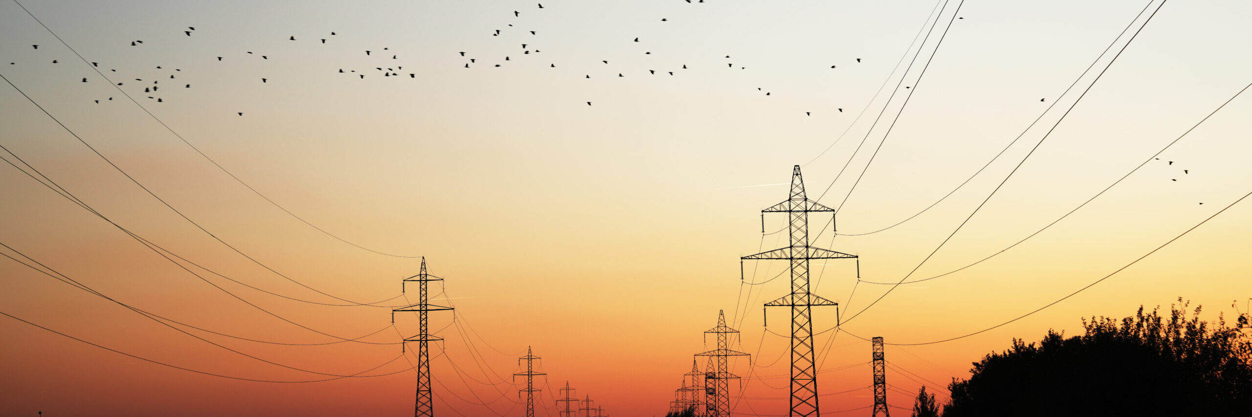 Low on energy? How integrating a Battery Energy Storage System could solve your MLF problem