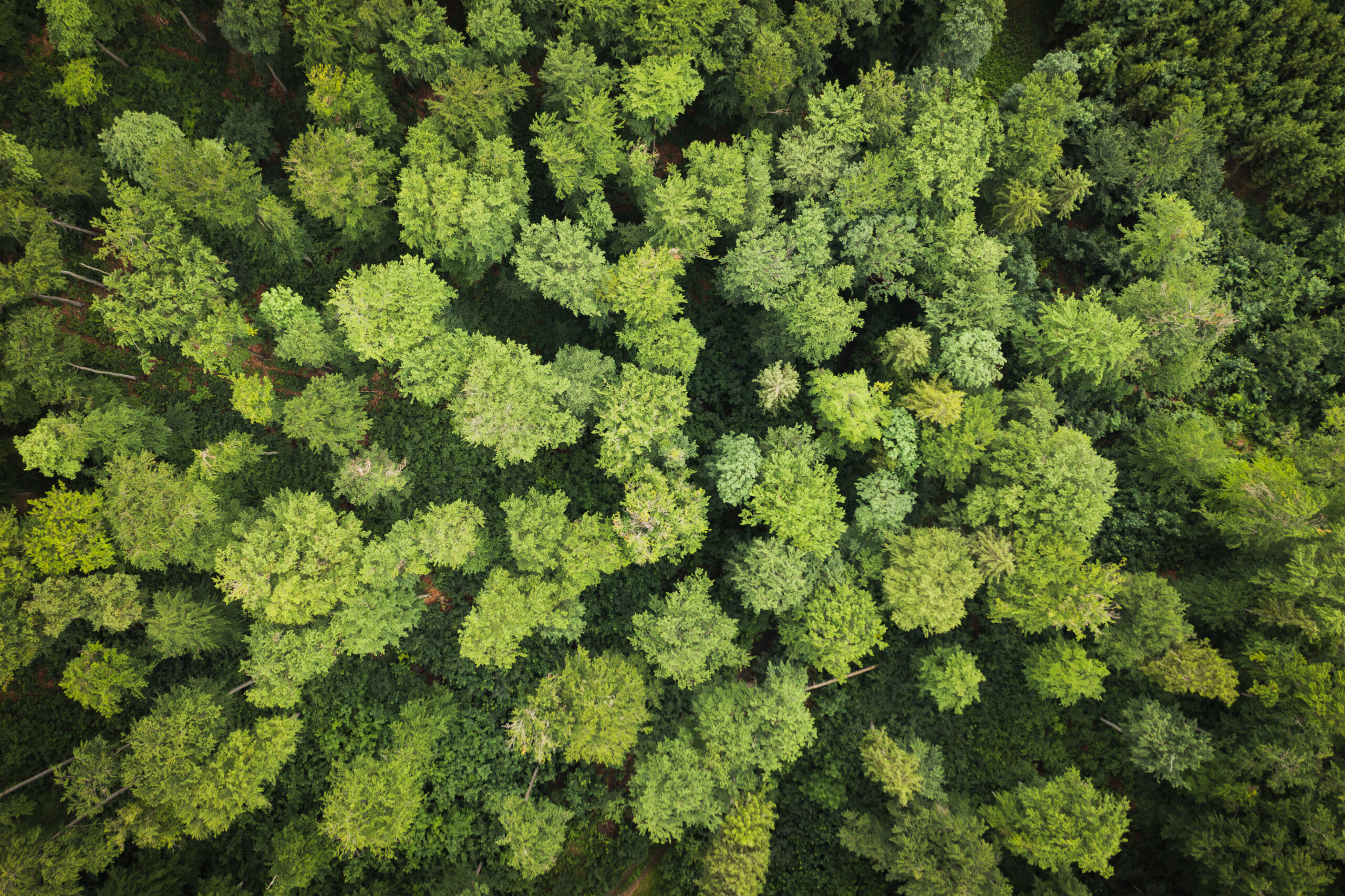Mandatory climate-related disclosure requirements: what ASIC clarifications mean for real estate sector