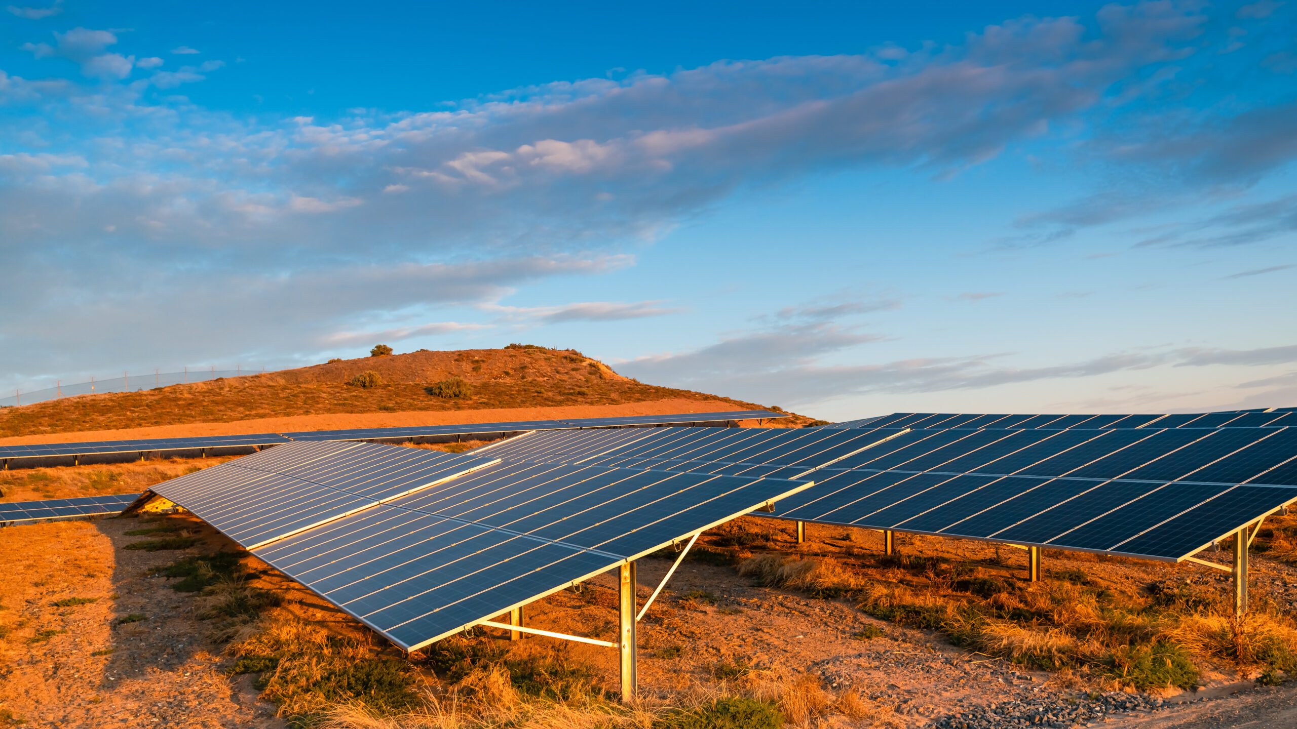 Investing in Clean Tech: What Clean Tech Investors Really Care About