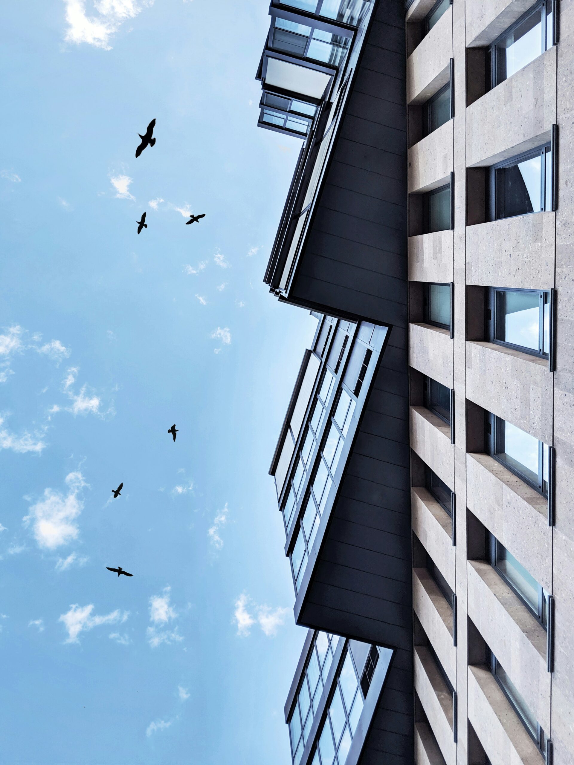 Relying on your own breach to terminate – lessons from Alamdo Holdings Pty Ltd v Reece Australia Pty Ltd