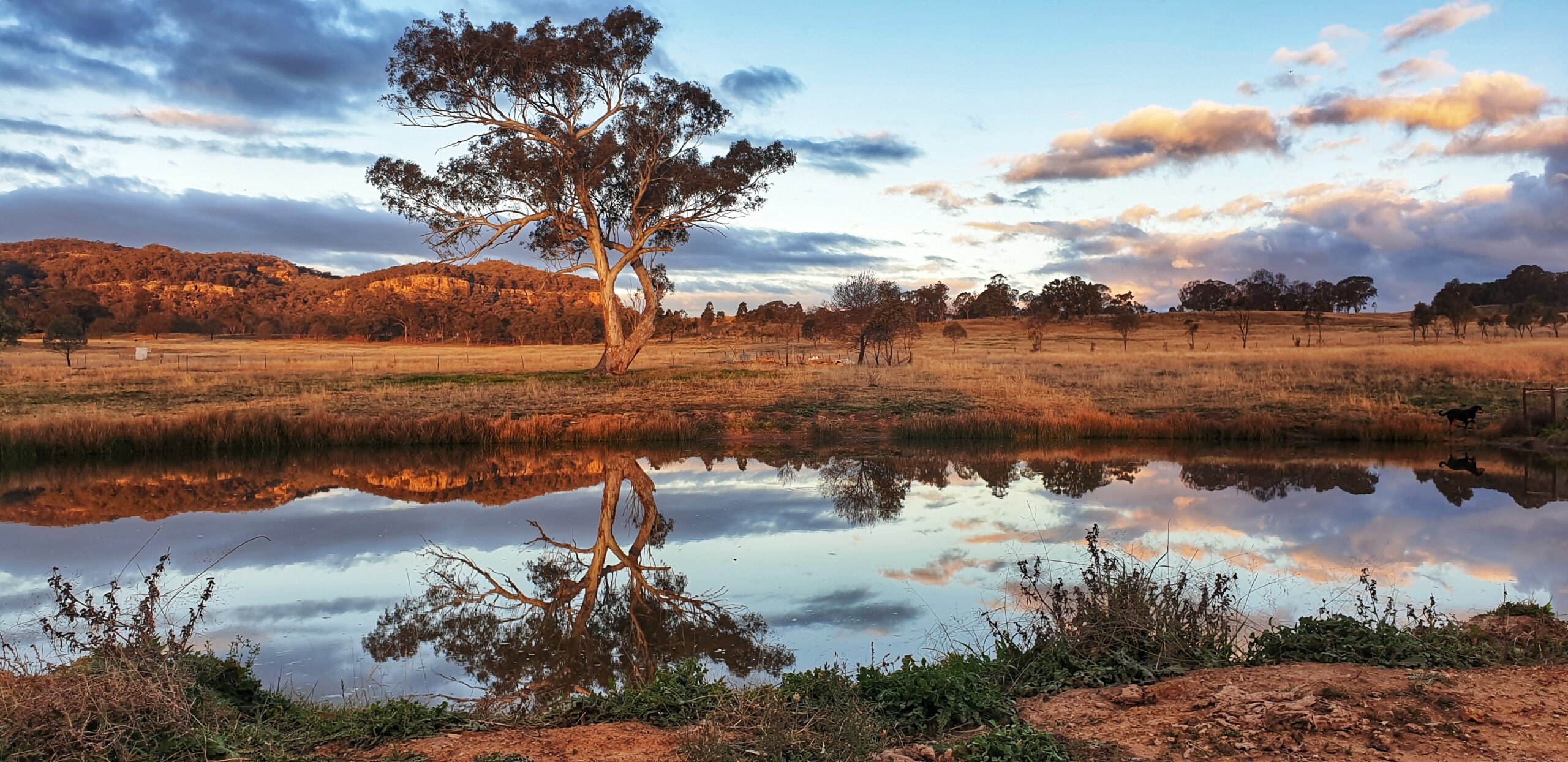 EPBC Act Reforms: What you need to know