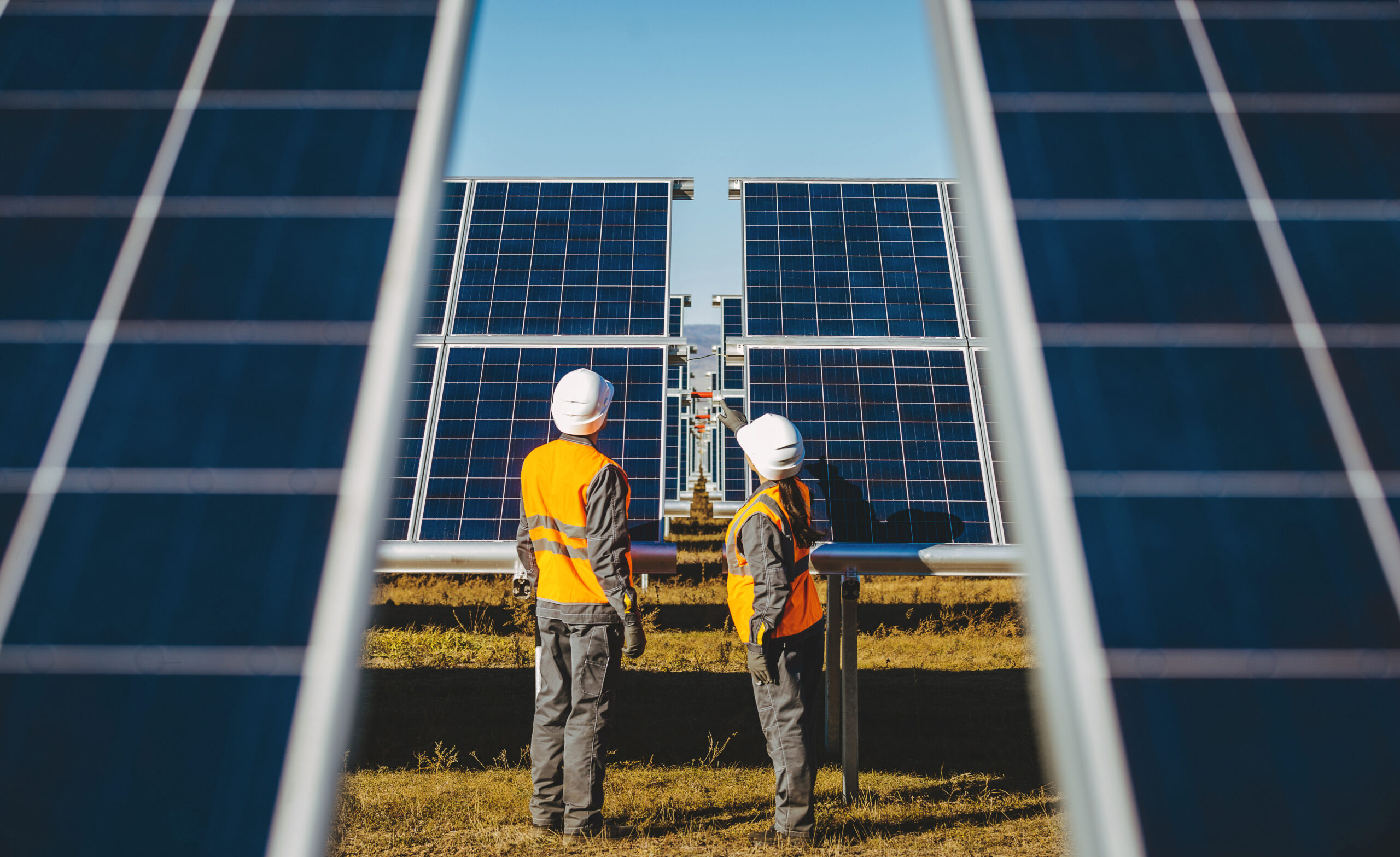 New Energy Expert Insights: How Project Managers Are Powering Australia’s Renewable Transition with William Ryan, Chief Executive Officer of Project Management Planet
